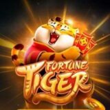 Tiger fortune pro premium