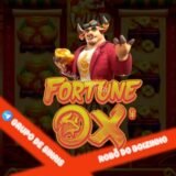 FORTUNE OX [PLUS]