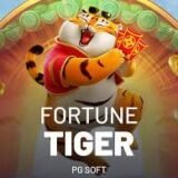 SINAIS FORTUNE TIGER