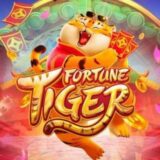 Fortune Tiger – sala vip