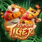 HORÁRIOS DO FORTUNE TIGER 🐯🎰🔥