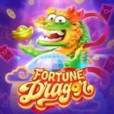 Sinais Fortune Dragon – ESPORTE DA SORTE