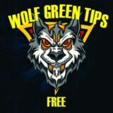 WOLF GREEN TIPS(Grupo 11)