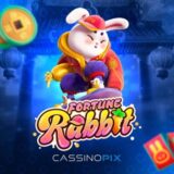 Fortune rabbit 🐰🚀