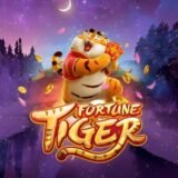 ROBÔ FORTUNE TIGER PREMIUM – HEADSBET 🐯